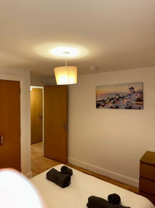 Apartament Flat In Belfast Zewnętrze zdjęcie
